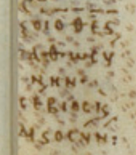 image5.jpeg
